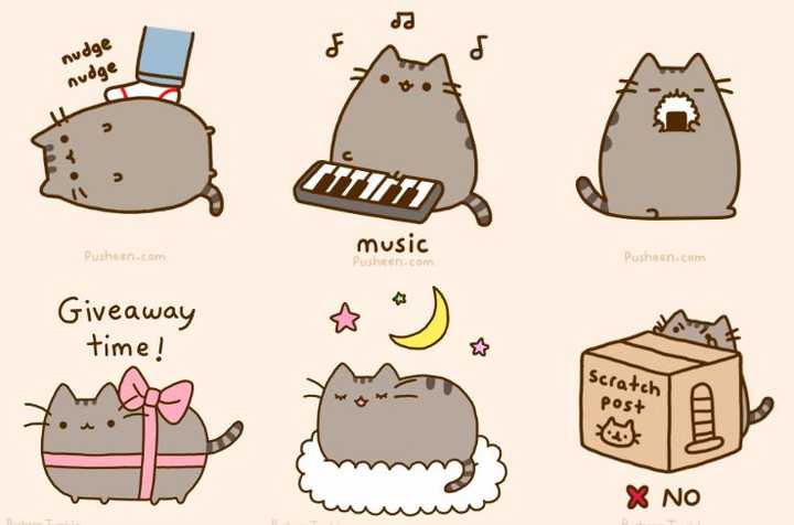 举着生日蛋糕的胖吉,是好多人的聊天表情包,送给过生日的大猫座狮子座