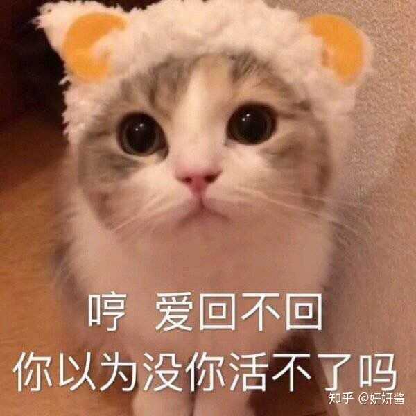 有哪些哄女朋友的表情包?