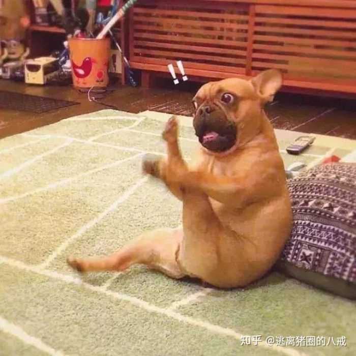 好想拥有美腻 可爱 沙雕头像 可以分享嘛?