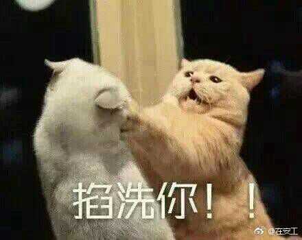 熊猫的表情包是在微博找到的.