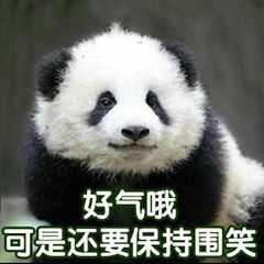 有哪些无字或者英文的表情包?
