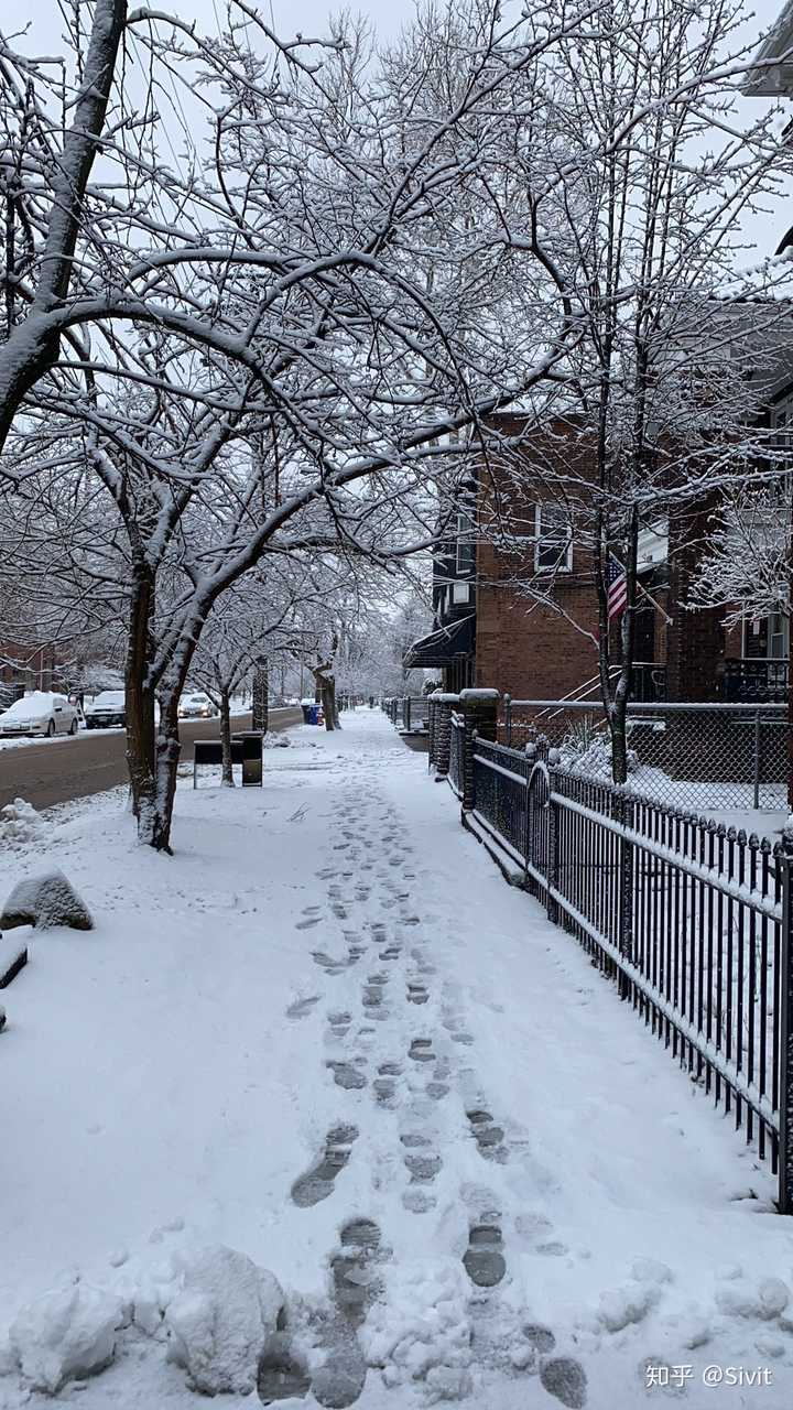 有哪些在自家小区拍出的雪景照片你认为很美?