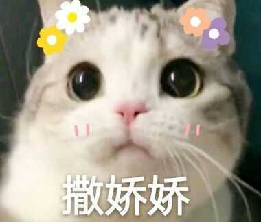 亲亲的表情包 我不咋撒娇,所以可爱的不多  完!