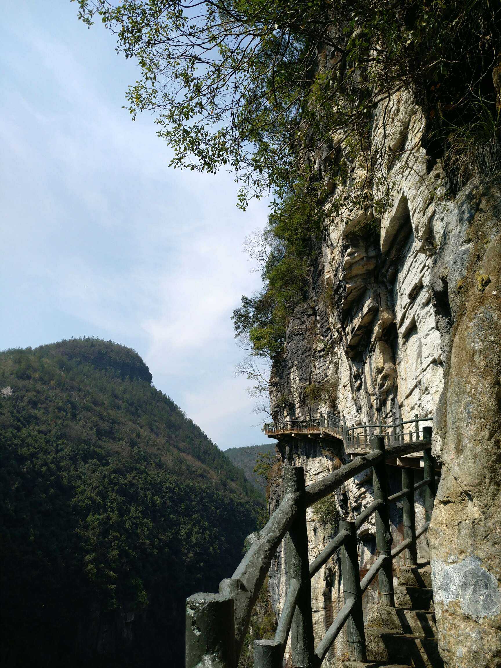 蜀道难难于上青天,蜀道美美在山之脊