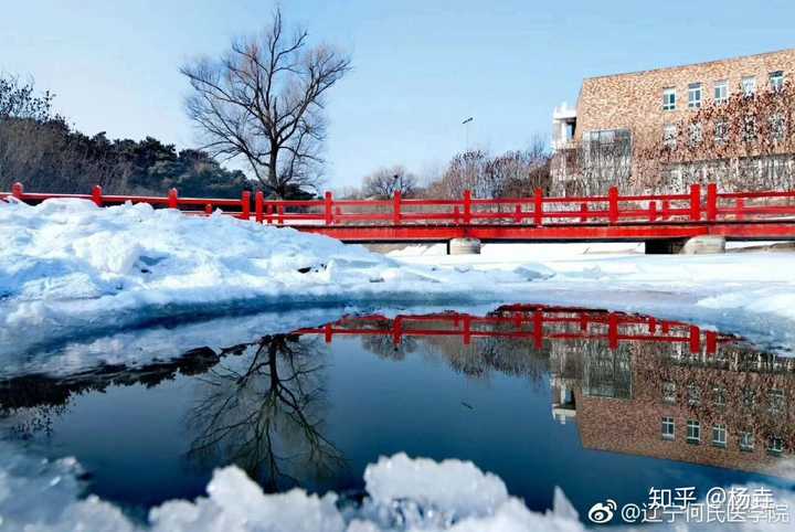 辽宁何氏医学院,以上.