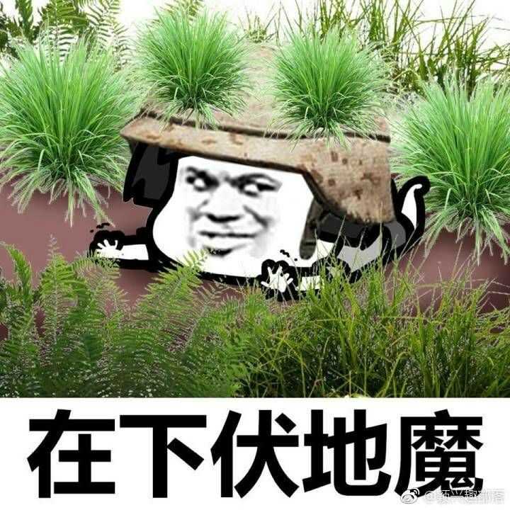 次同时捡到了98k和8倍镜,刷了第三个圈了,正准备跑进圈去当一次伏地魔