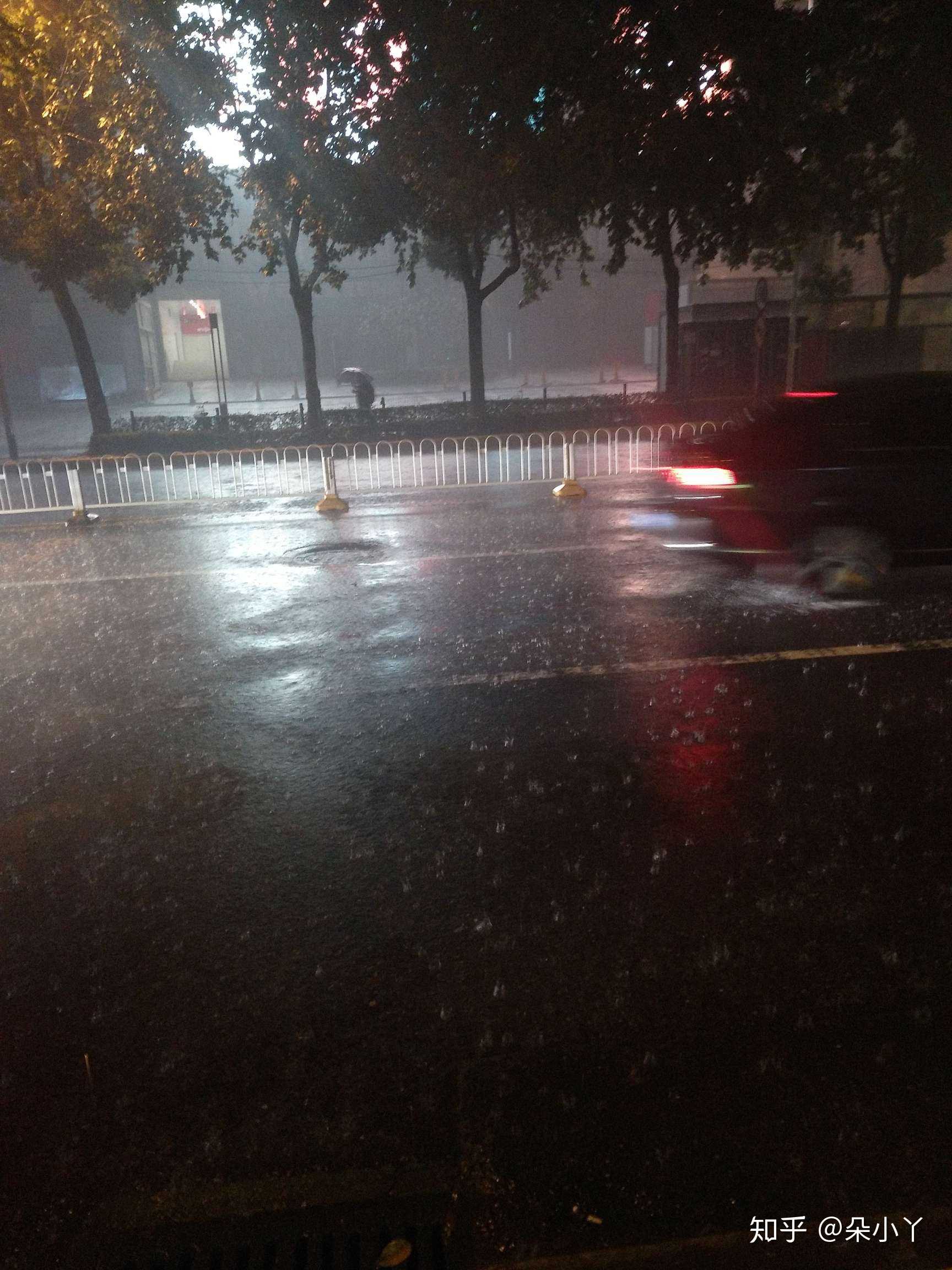 别人在等伞,我在等雨停