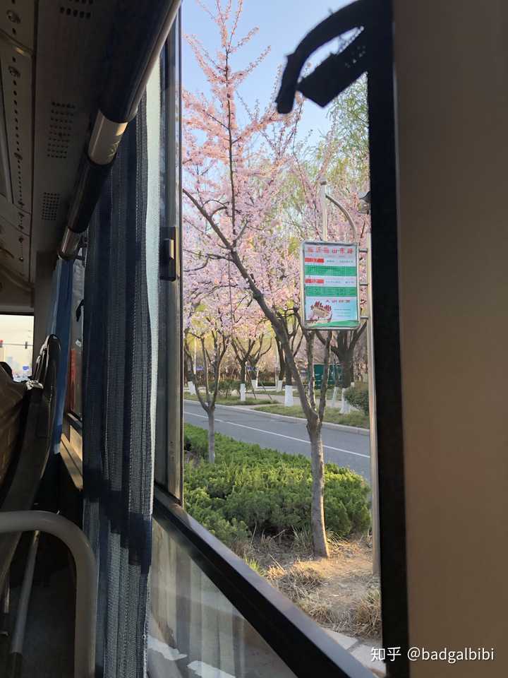 你的手机里有哪些自己拍的真实的风景照?