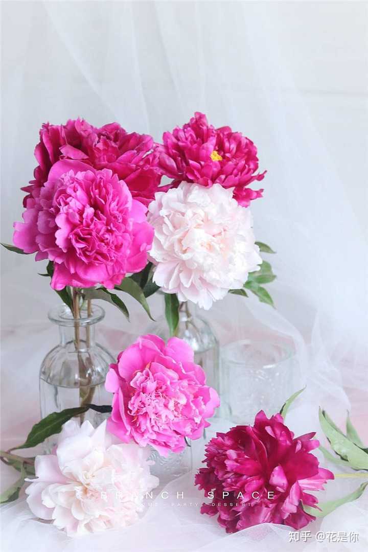 花店芍药鲜切花怎么养,全是花苞,怎么减少损耗,全都养