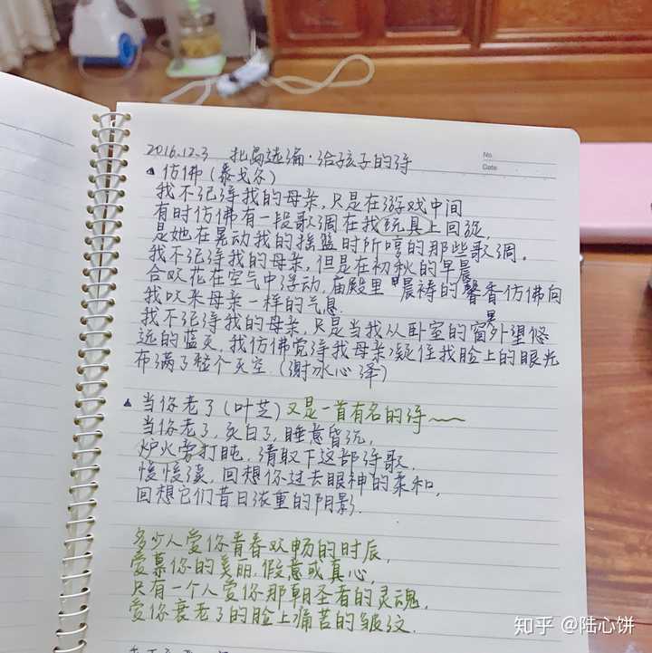 大家可以分享一下摘抄经验(比如内容,分类),晒一下摘抄本吗?