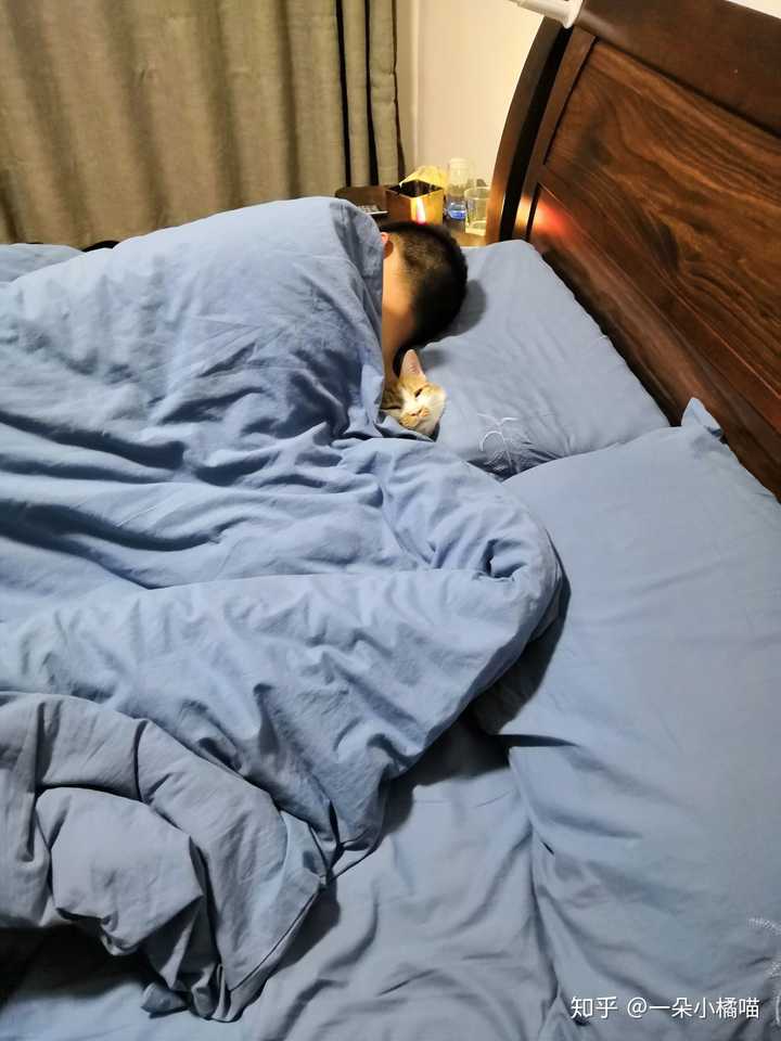 可否晒一晒你们养的小猫小狗?