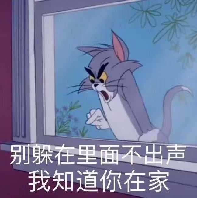 有哪些沙雕又可爱的朋友圈文案?