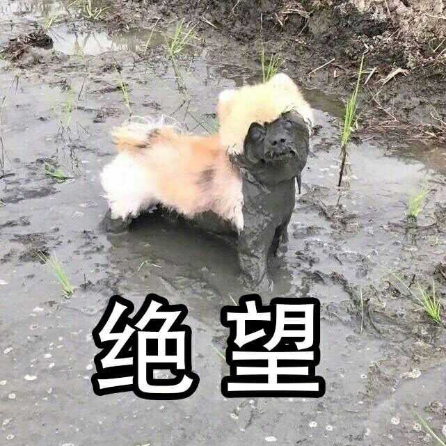 丢人丢到家是种怎样的体验?