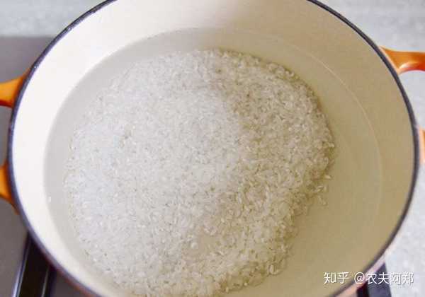 大米熬成什么样子算是好了?
