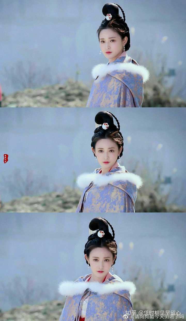 东宫女孩们你们觉得剧里九公主小枫神图是什么