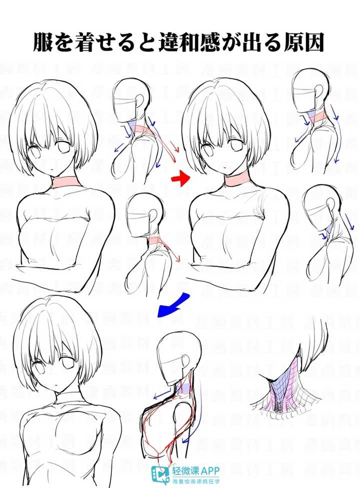 如何画好头颈肩的关系?