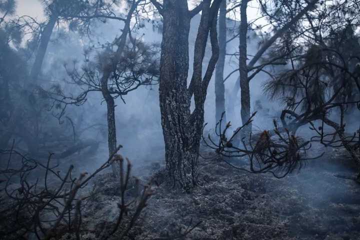 如何看待四川凉山森林火灾致31名消防队员牺牲