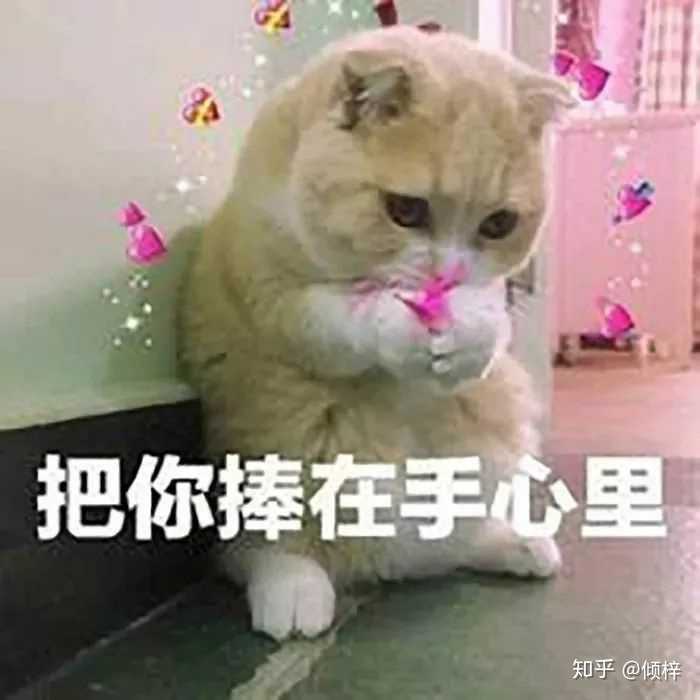 有没有给情侣,闺蜜的表情包?