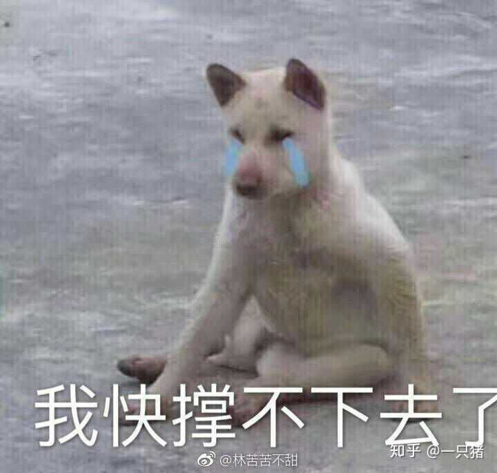 有哪些负能量的表情包(图片)?