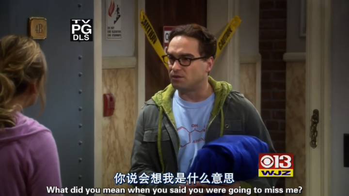 莱纳德和佩妮