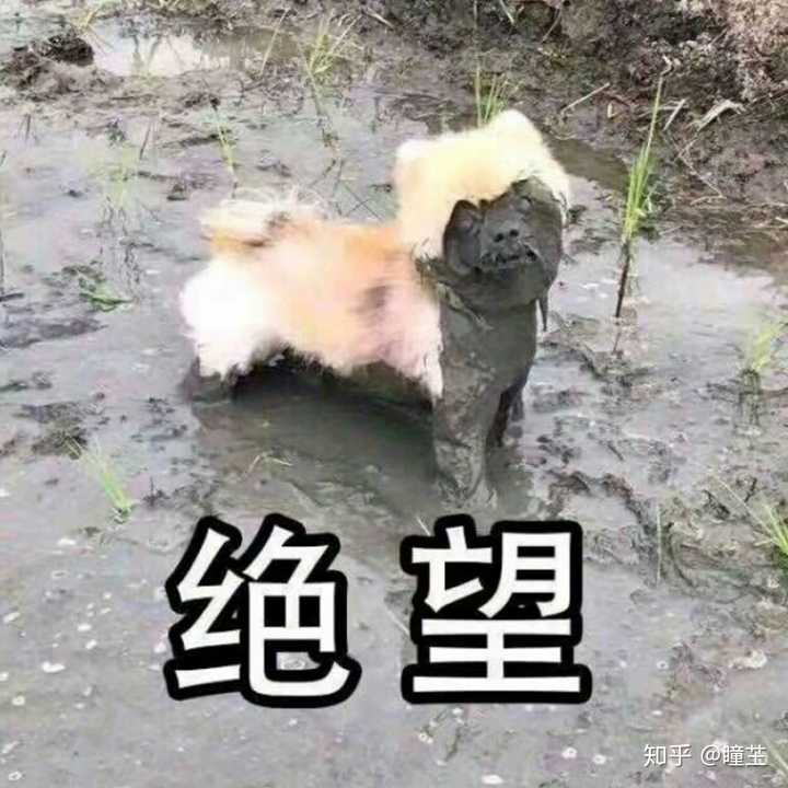 算了就这样吧