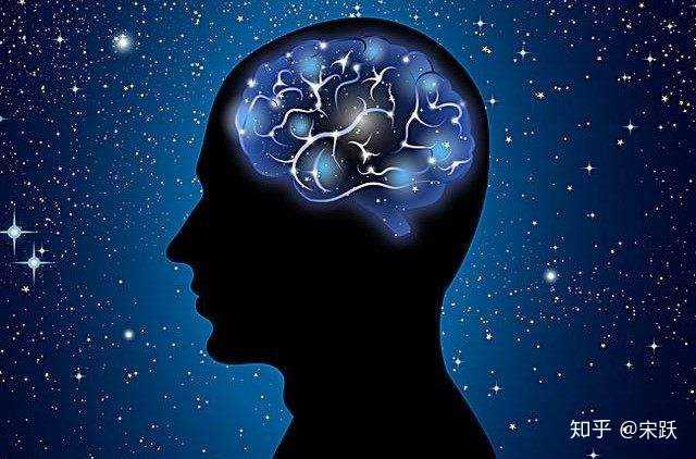 intj型性格的女生看起来是什么样子