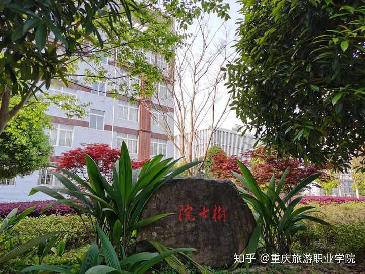 重庆旅游职业学院的环境怎么样呢?