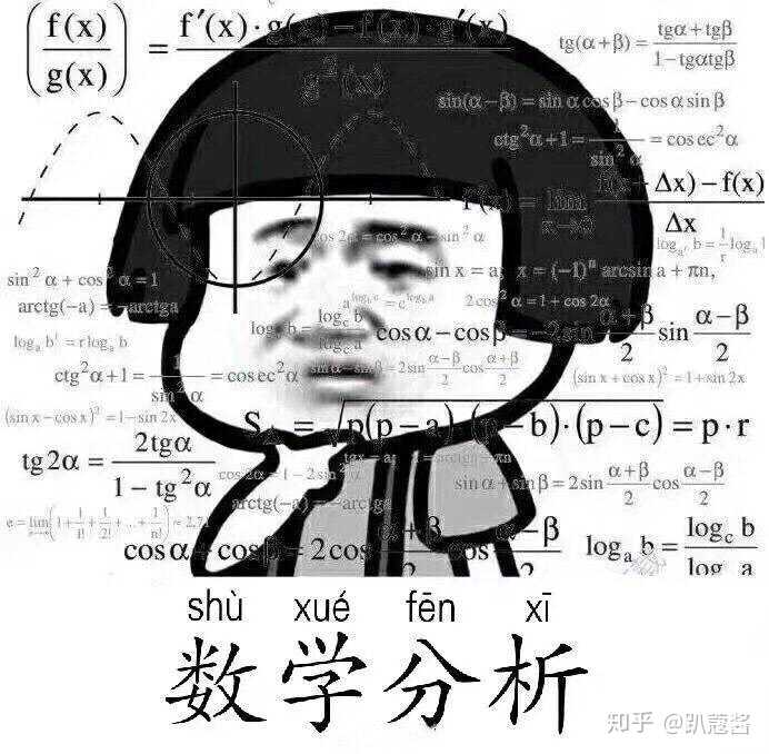 喜欢数学,但是脑子不好使,怎么办?