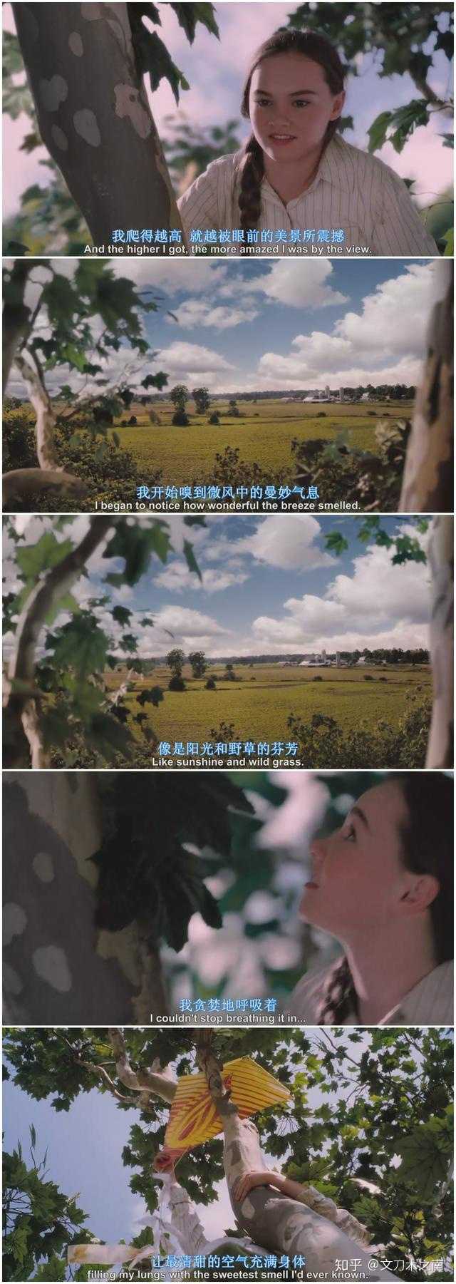 《怦然心动》是一部什么样的电影?