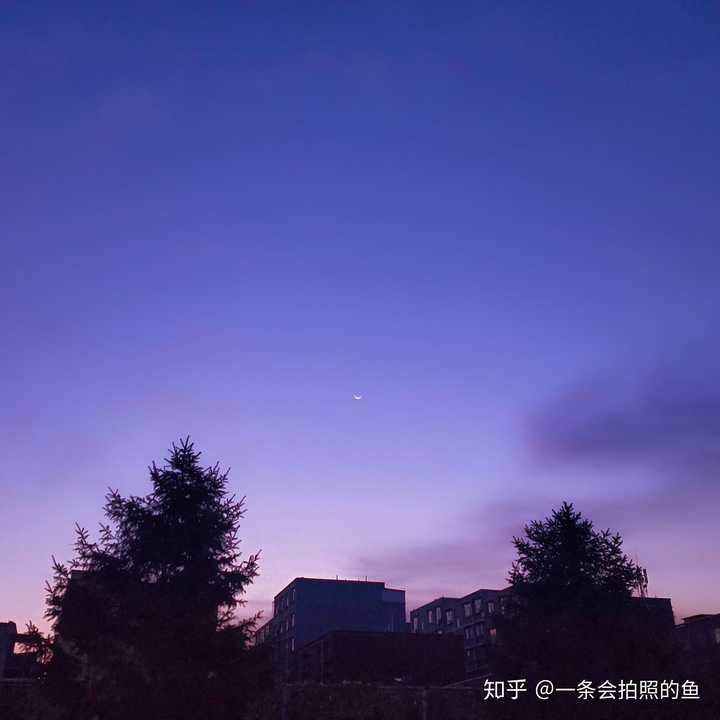 (白天黑夜都可以)?