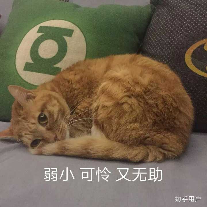 我真的快撑不住了