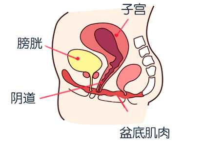 治漏尿的小窍门 知乎