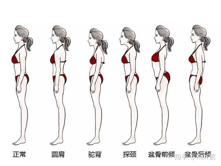 现在关于女孩子胖瘦的审美畸形了吗?