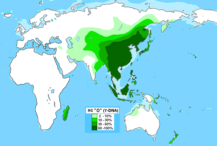 汉族的主要基因构成如何