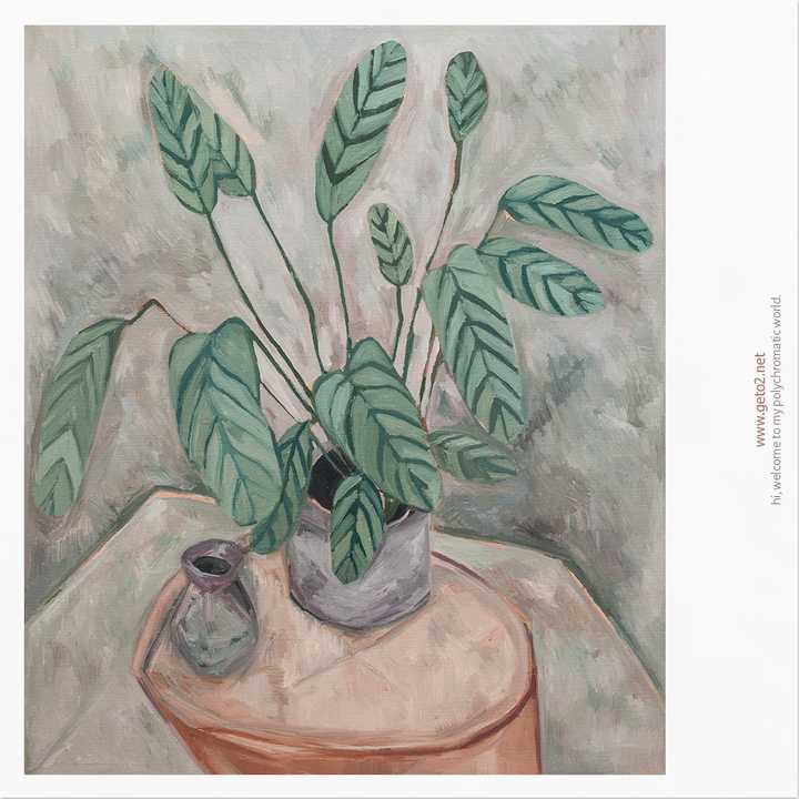 孔雀竹芋.布面油画