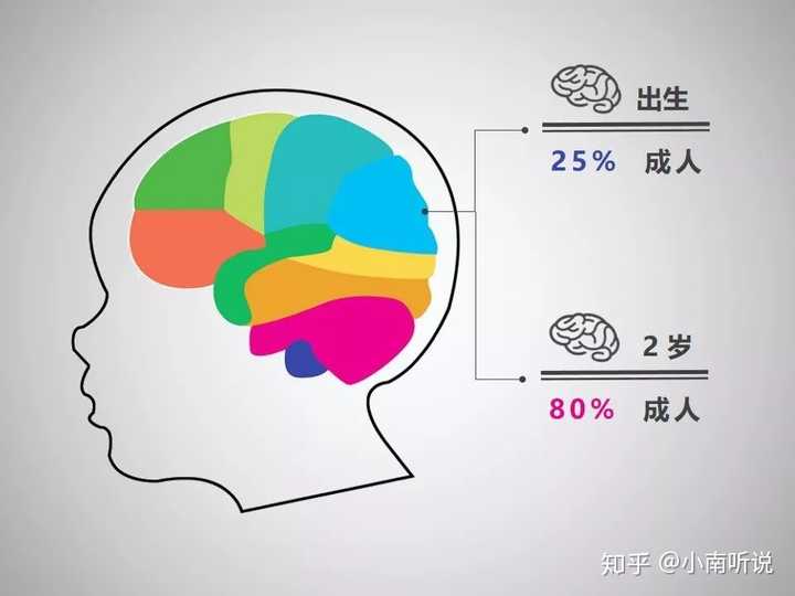 图三:2岁时大脑已经长到成人的80%