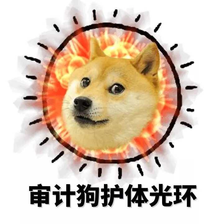 审计狗占坑   显示全部