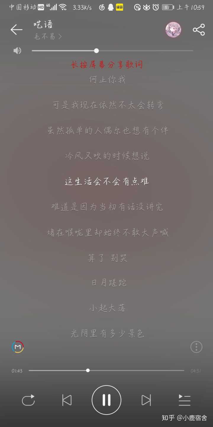 毛不易的呓语