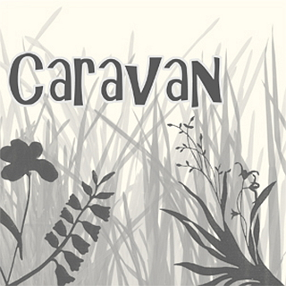 caravan   a_hisa   单曲   网易云音乐music.163.com音乐