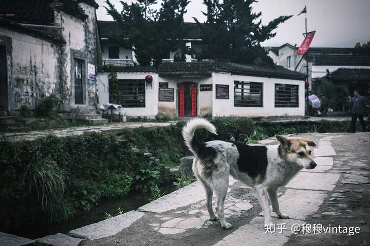 查济(zhā jì)村,安徽省宣城市泾县桃花潭镇辖村,它虽然没有呈坎村口