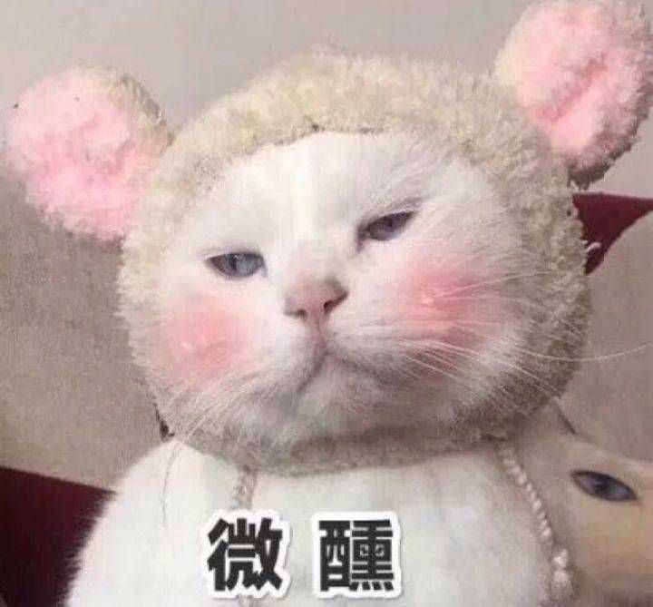 ①沙雕之问号系列 ②沙雕之震惊系列 ③沙雕之害羞系列 ④沙雕之戏精