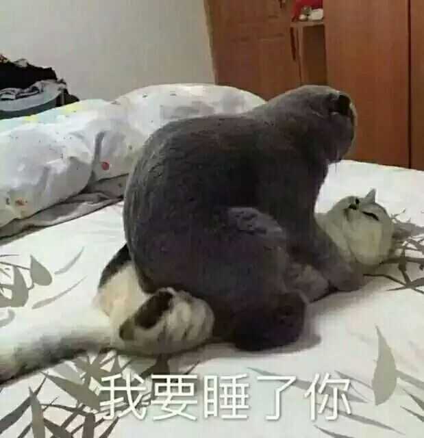 ∑( )万一被舍友看到,后果不堪设想…… 我觉得吧,提起裤子就不认人的