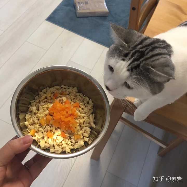 自制猫饭:鸡胸肉,胡萝卜,鸡蛋黄