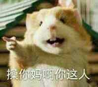 我也成功变成了我室友的表情包之源(摊手