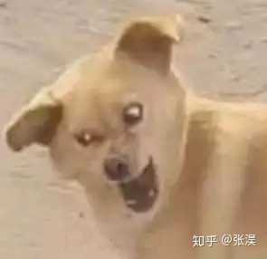 下自习了,i am back! 前方高能,是我自己收藏的骚浪贱表情包!