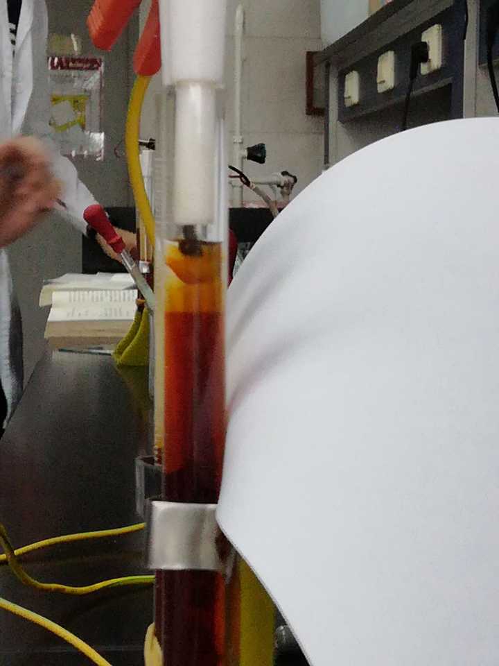 这是现象.溶胶电泳时,负极出现胶体粒子团聚成的帽形区.