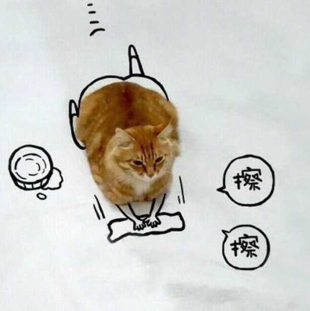 有兄弟有沙雕头像嘛?