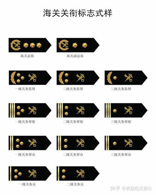 民兵有领章但是没有衔级,专武干部有肩章也没有衔级.