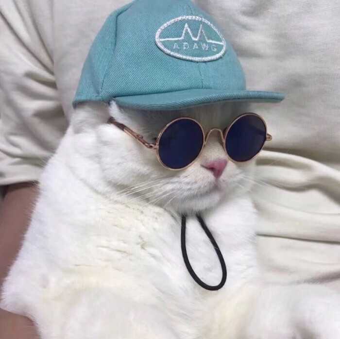 你们用过最好看的头像是什么?