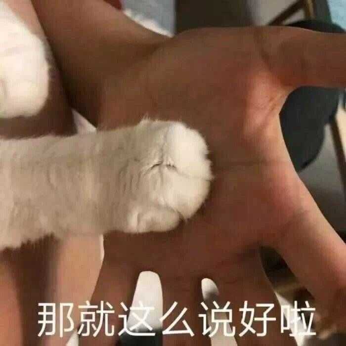 有哪些撩男友的表情包